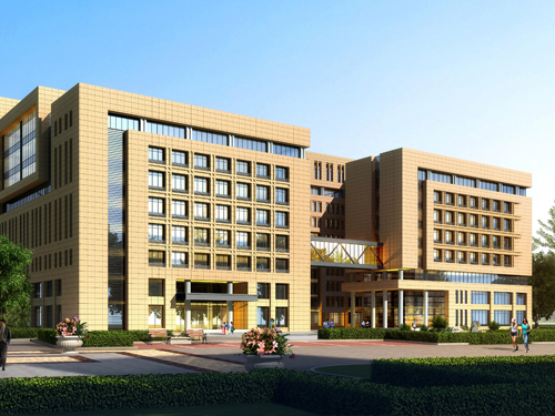 金华仿石漆厂家